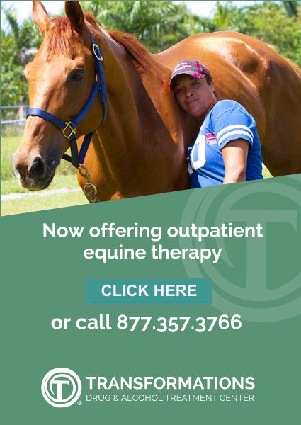 equine_program-425×600