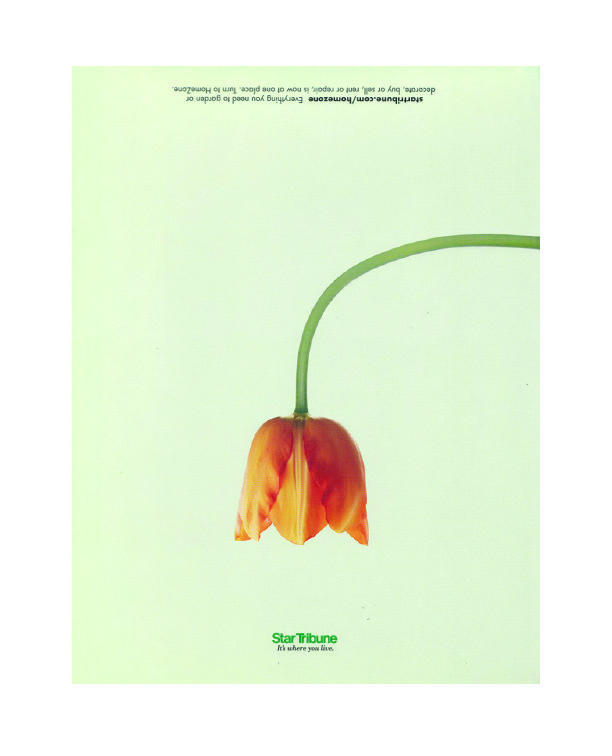 homezone ad 2